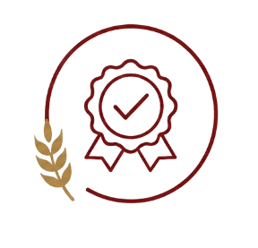 Icon 4